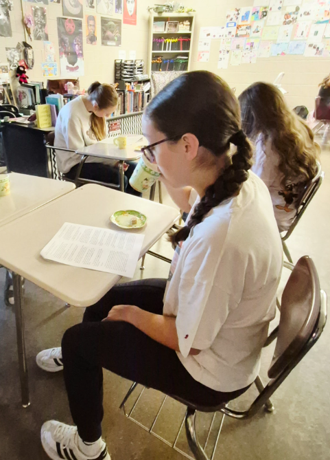 Ms. Rainey's English Class