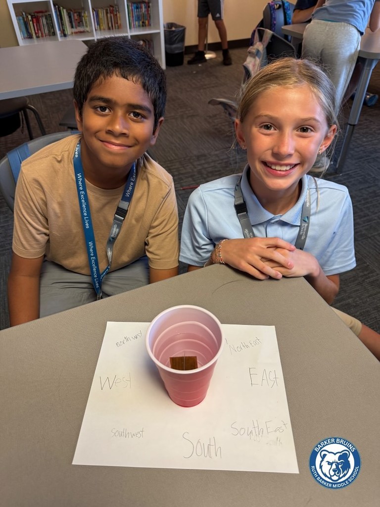 IB