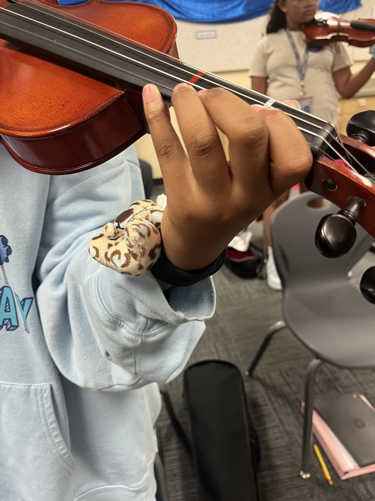 orchestra 3