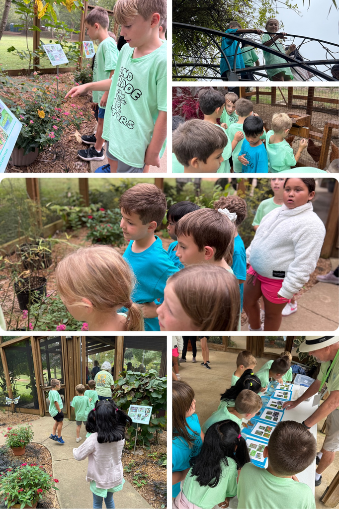 gardens