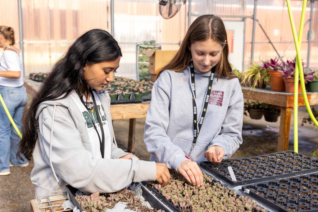 Students planting seeds