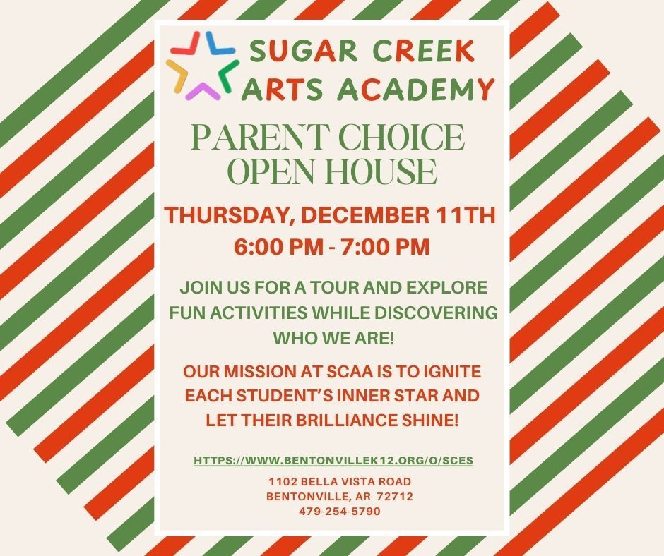 parent choice flyer