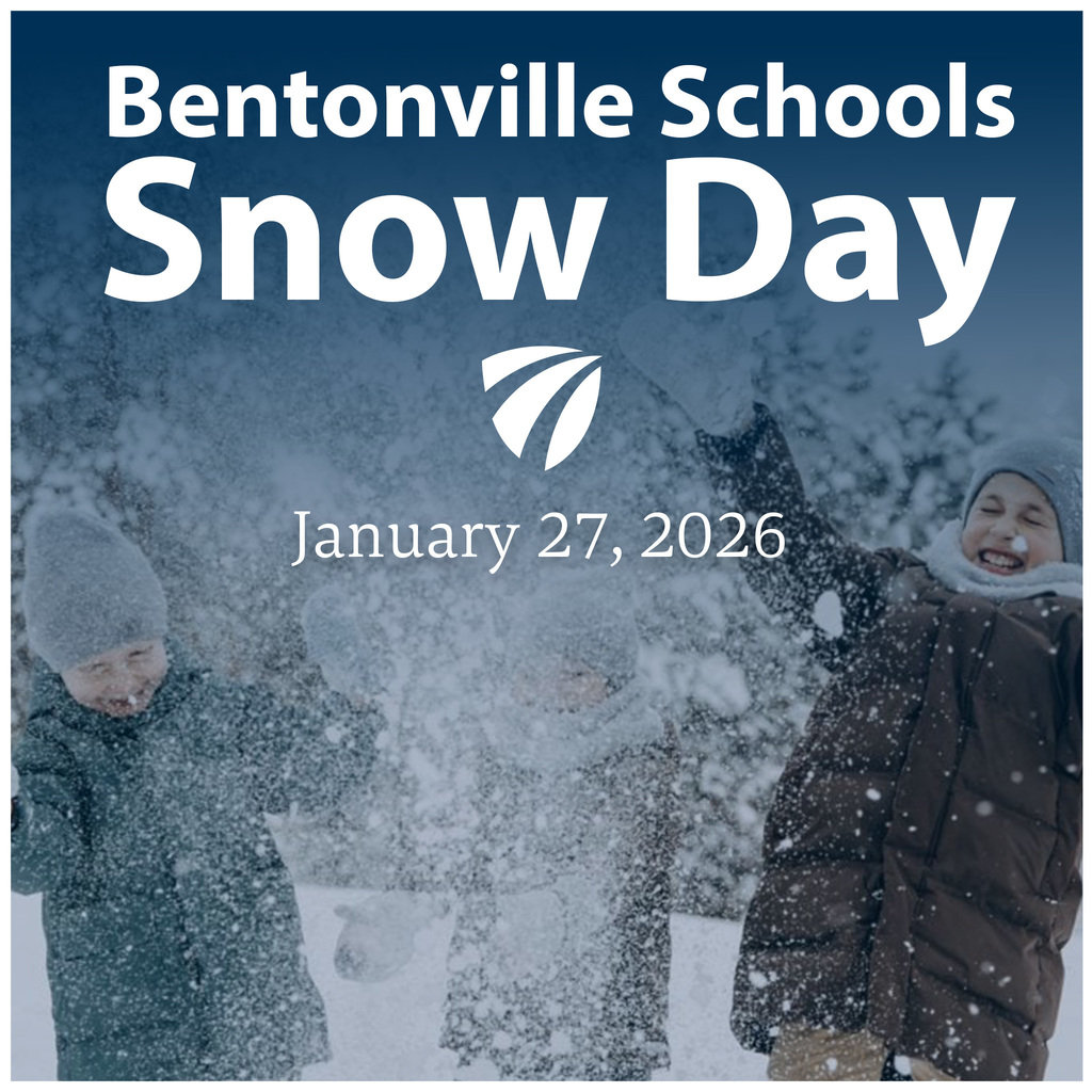 Snow Day Infographic