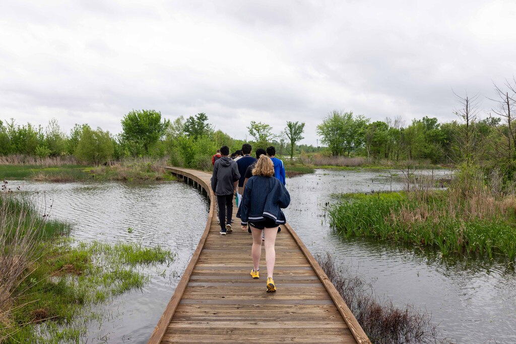 High school stduents walking a boardwalk in a grasslands area