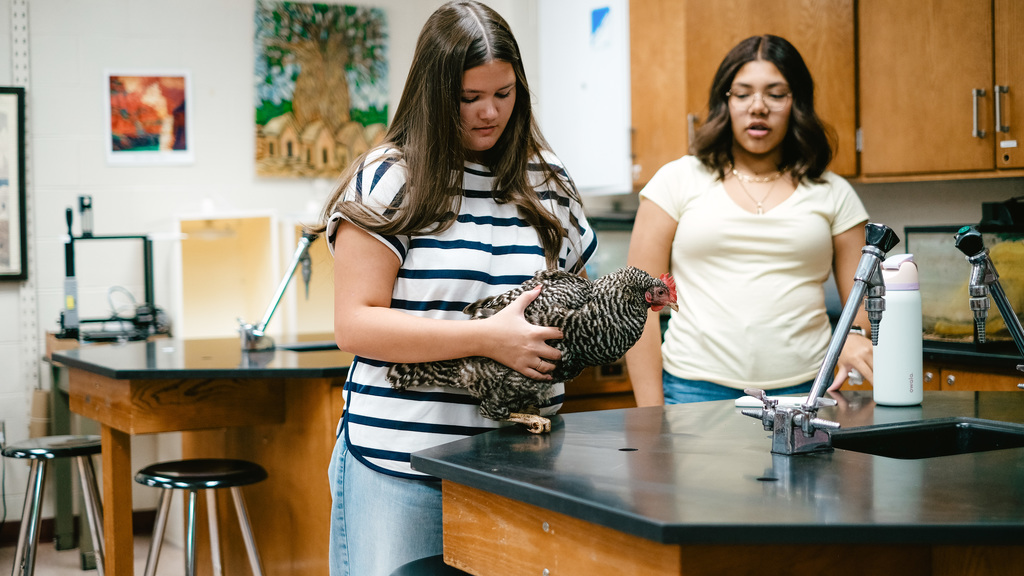 Students hold chicken in classroom