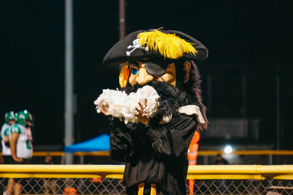 Alfonzo the Pirate