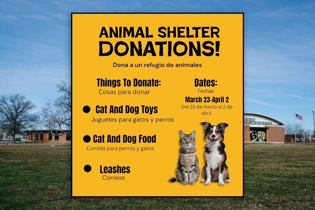 Animal Shelter Donations Project from Elementary Leadership Team