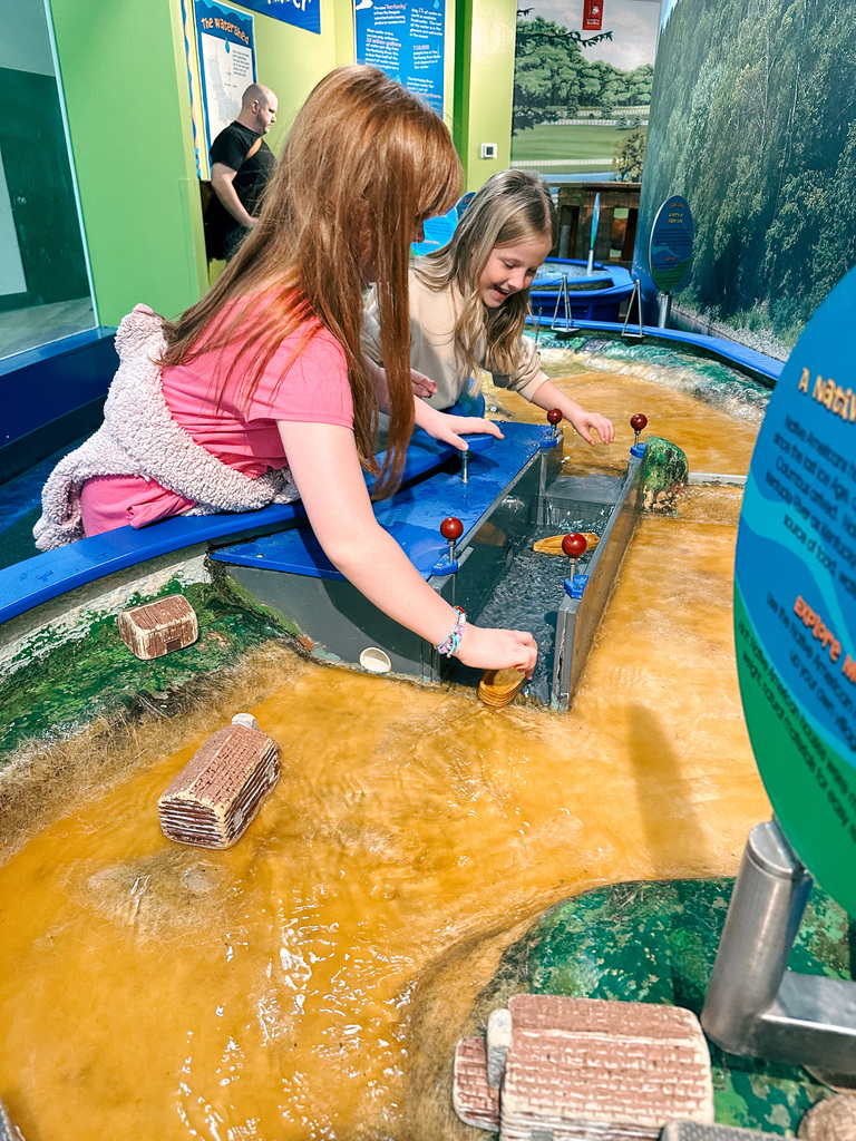 Lexington Children's Museum 3rd Grade Field Trip