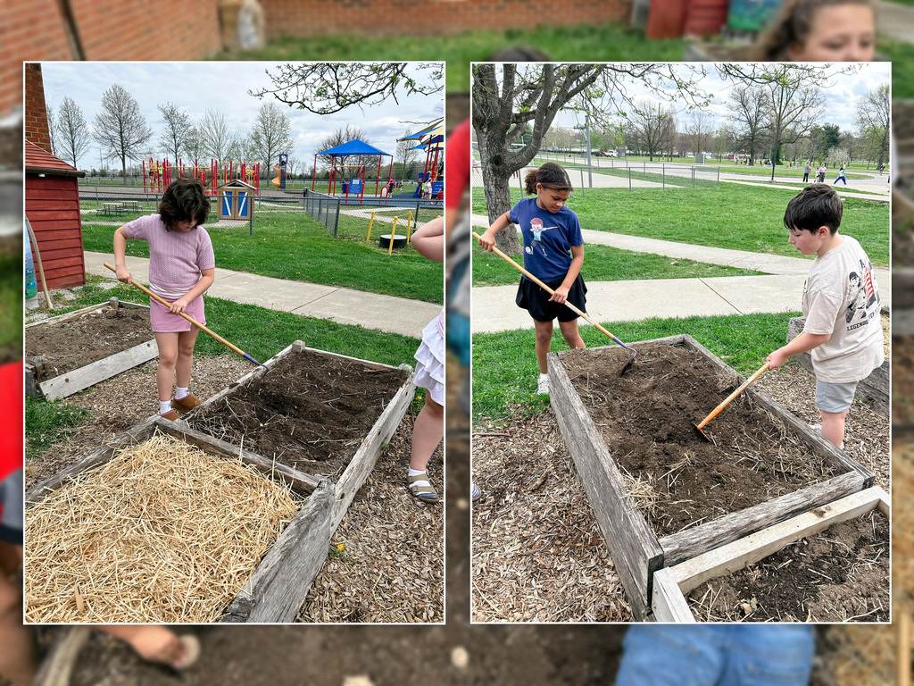 Raised Beds Planting