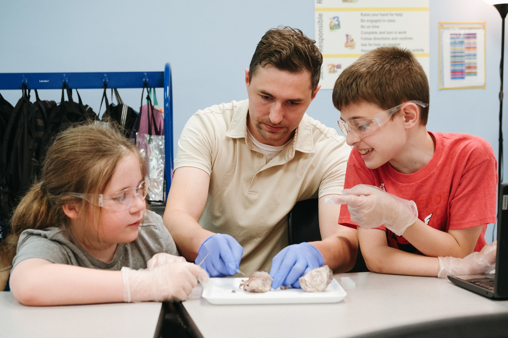 Dissecting Cow Eyes