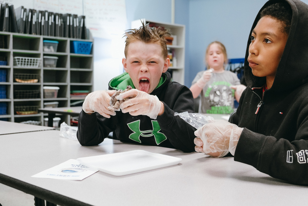 Dissecting Cow Eyes