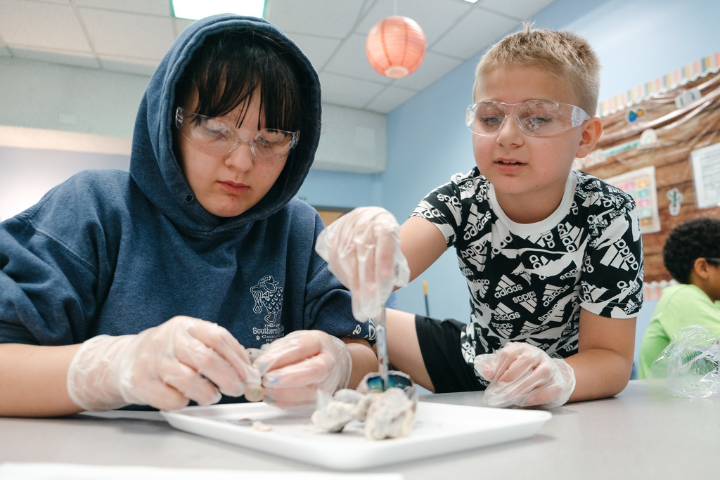 Dissecting Cow Eyes