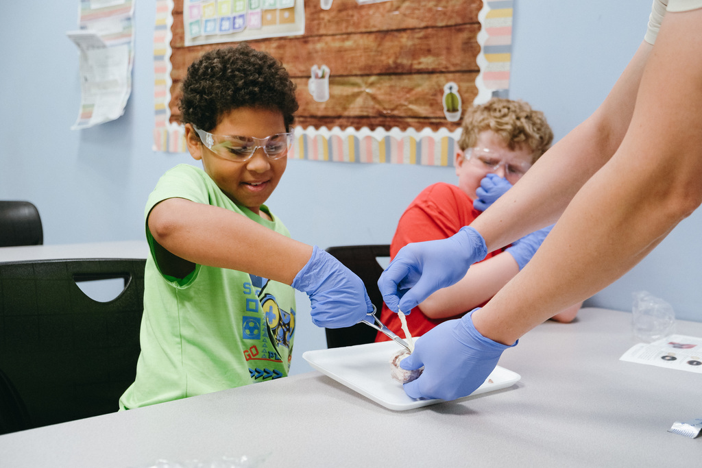 Dissecting Cow Eyes