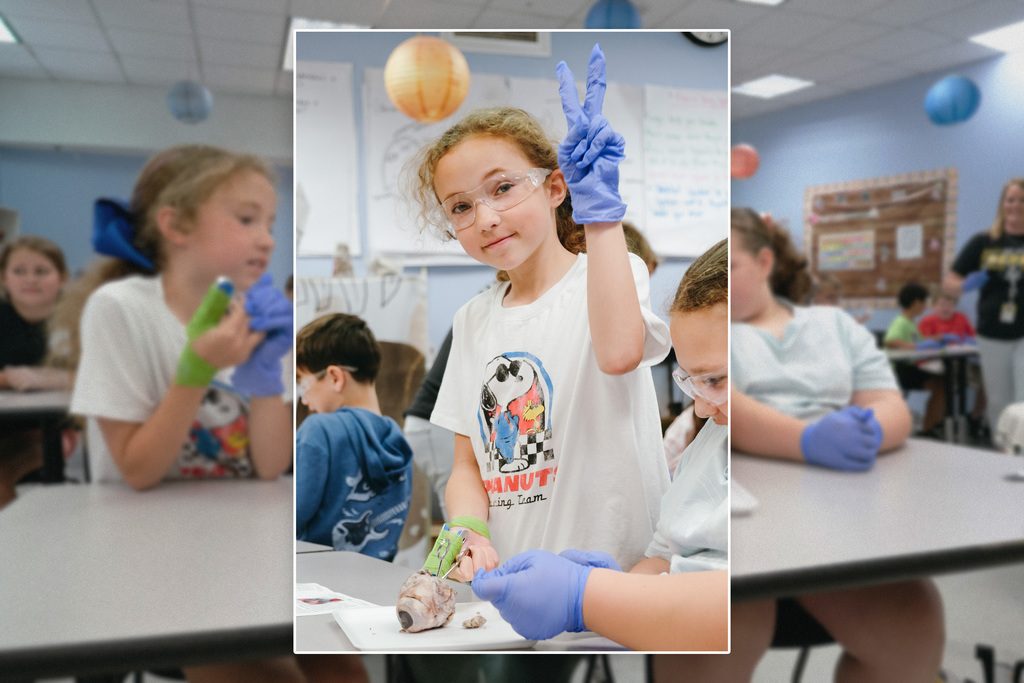 Dissecting Cow Eyes