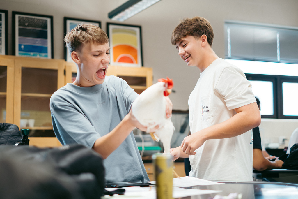 Chickens in Mr. Woodward's Classroom