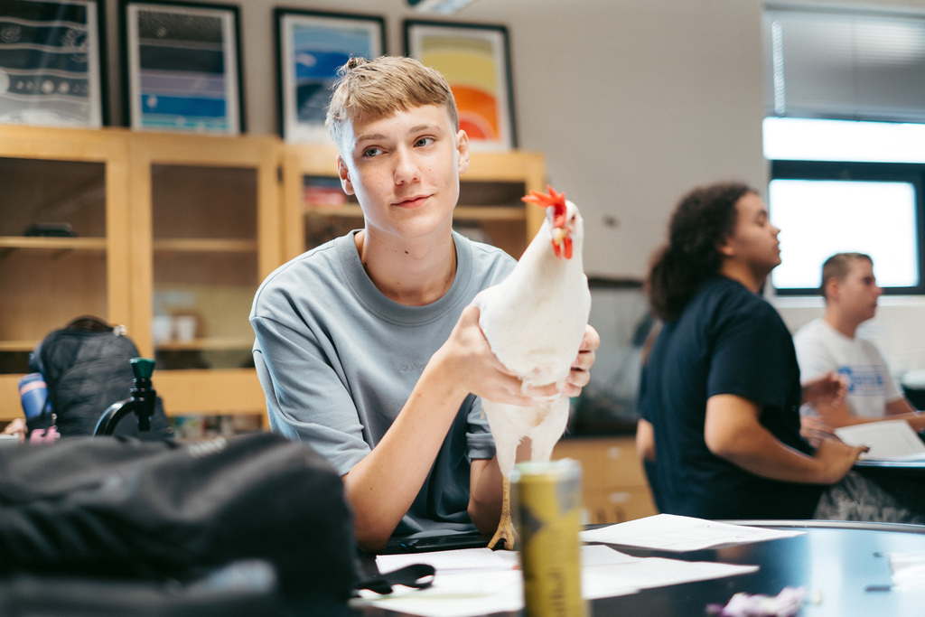 Chickens in Mr. Woodward's Classroom