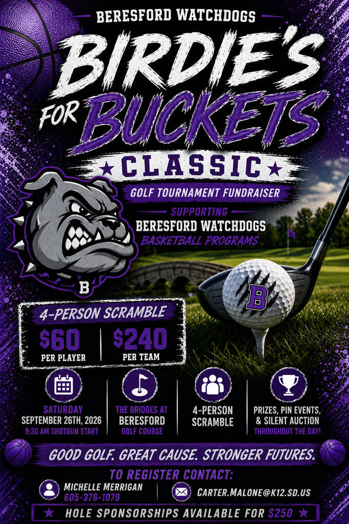 Birdies for Buckets infographic