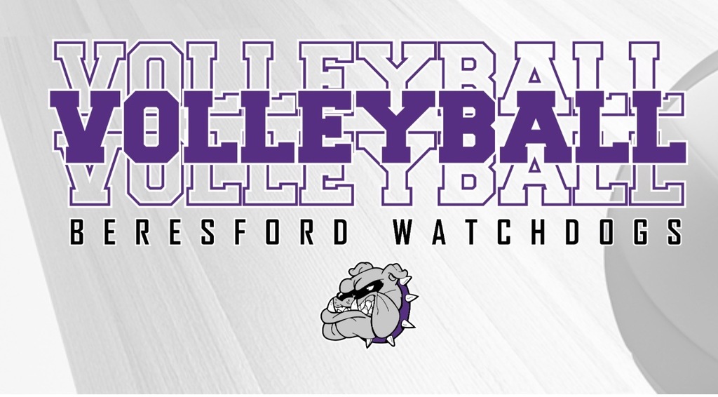 VB Logo