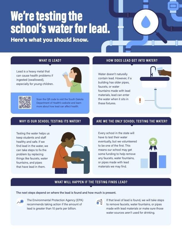 Lead Testing Infographic-2