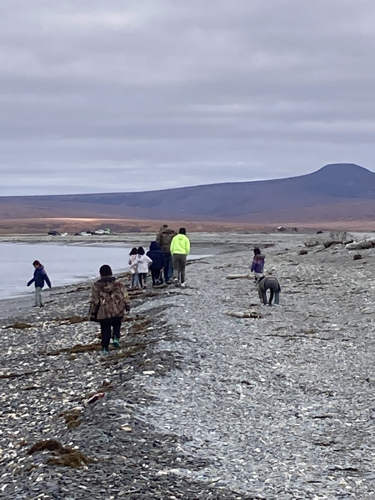 Seal Watching Field Trip Teller School 1