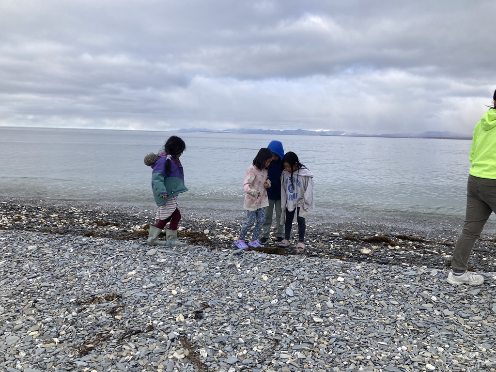 Seal Watching Field Trip Teller School 7
