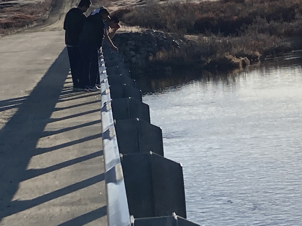 Checking out some swimming fish