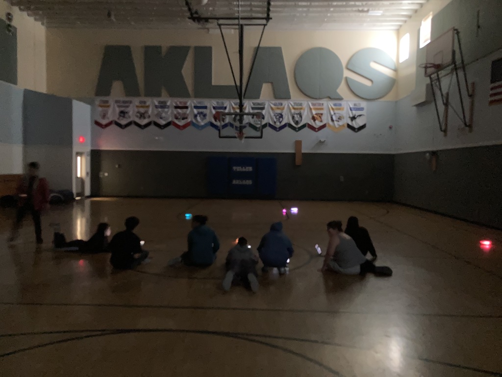 robot racing teller alaska