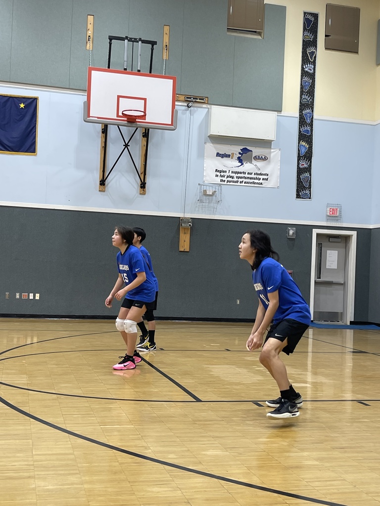 Teller Team Volleyball Tournament 2025 8