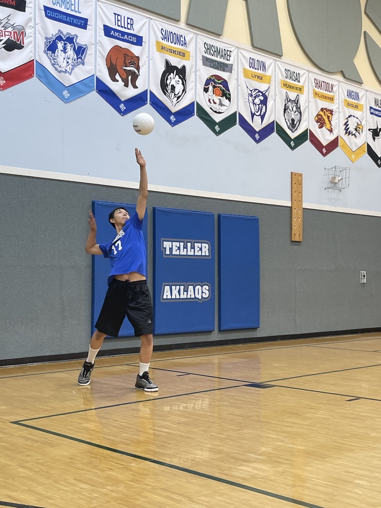 Teller Team Volleyball Tournament 2025 4