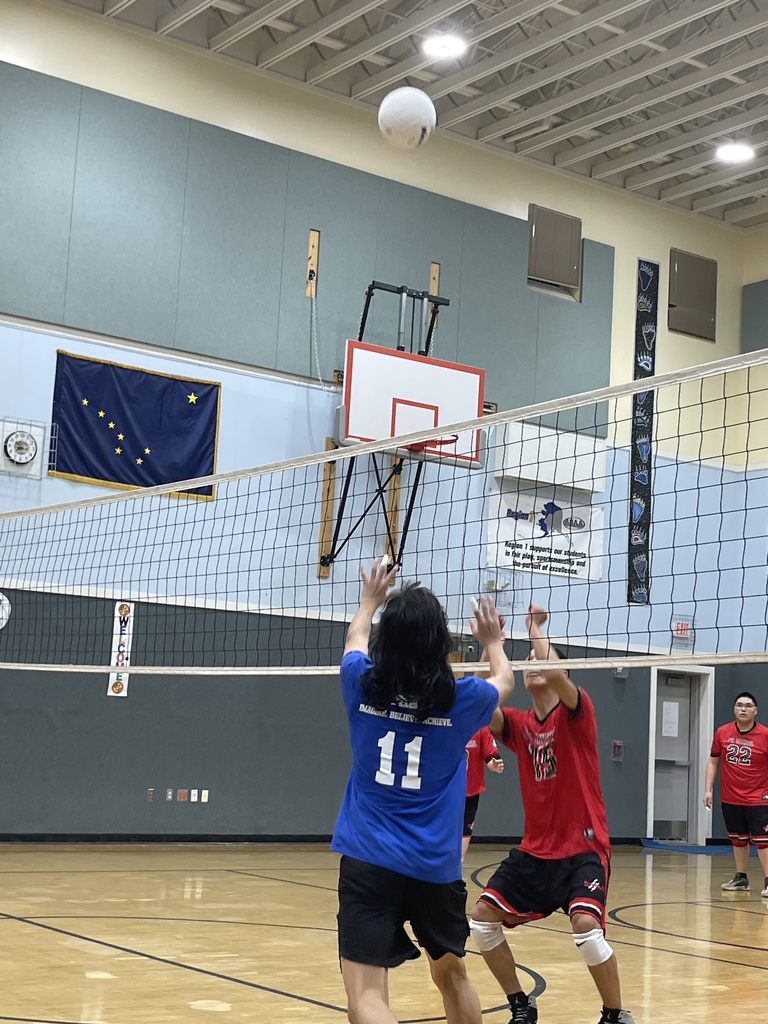 Teller Team Volleyball Tournament 2025 1