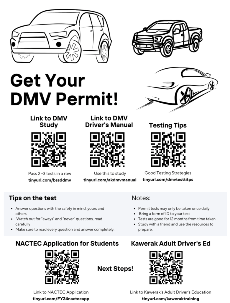 DMV Flyer