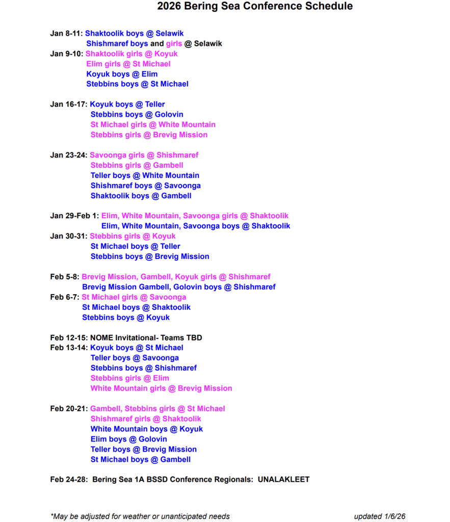 bssd basketball schedule