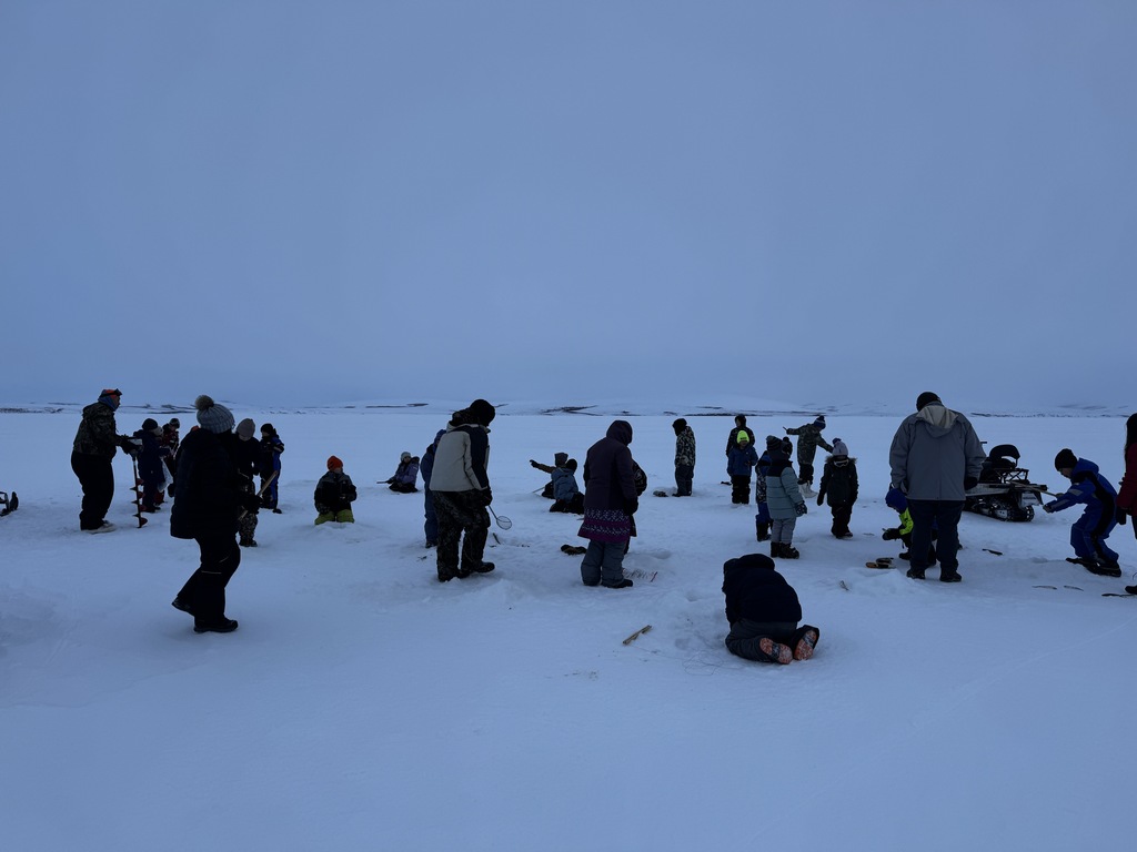 Outdoor activities Teller alaska 2026