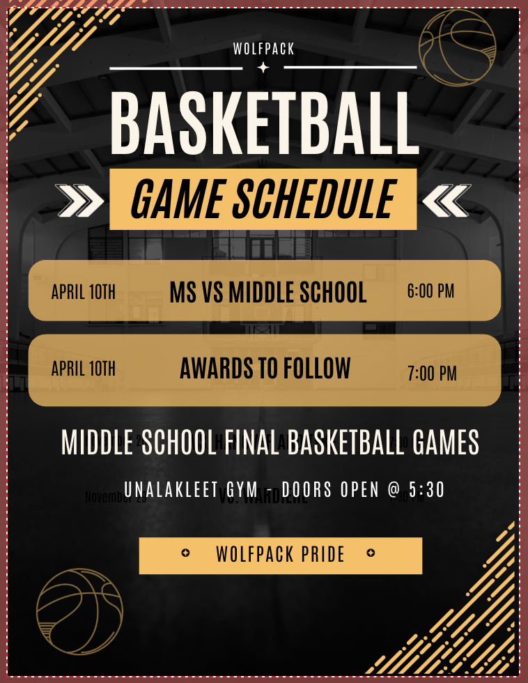Middle School Basketball Final Game