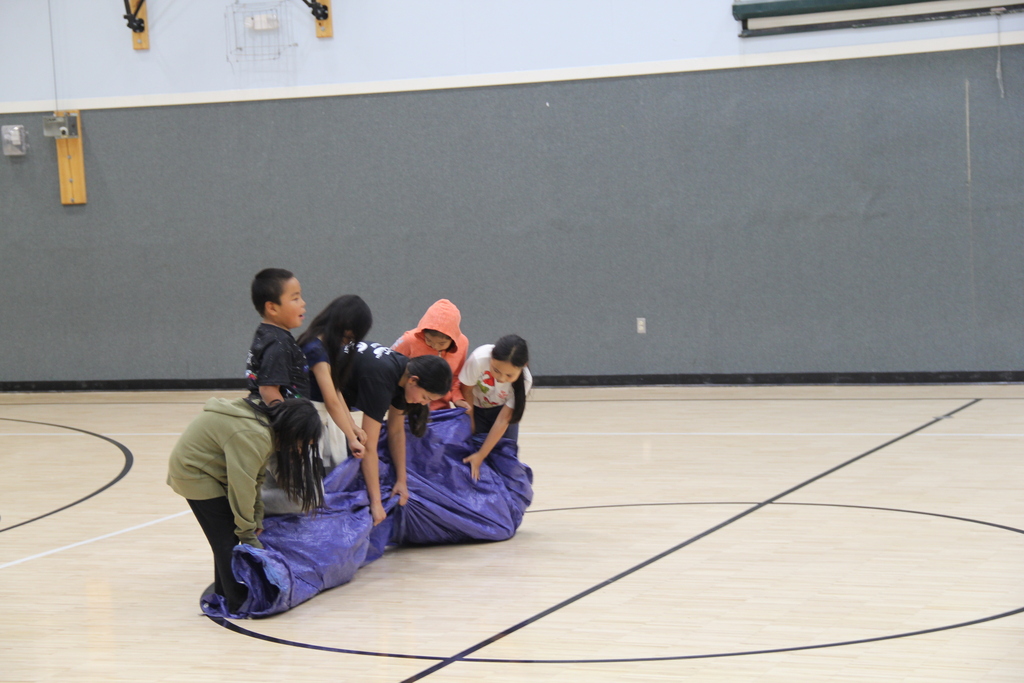 Tarp turnover Teller XC nome elementary