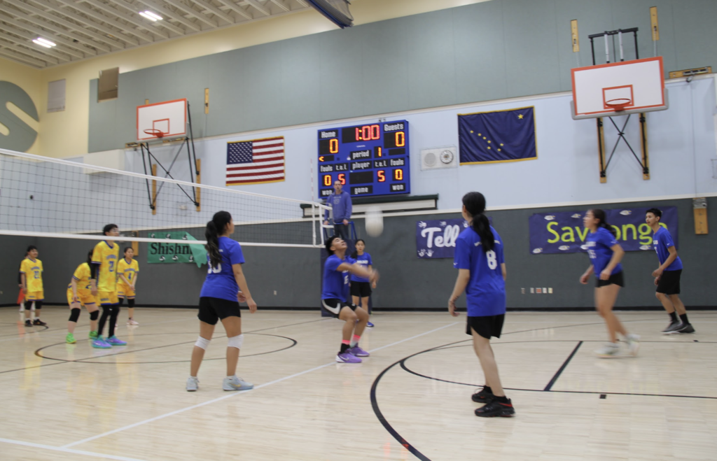 Bump Set Spike Aklaqs