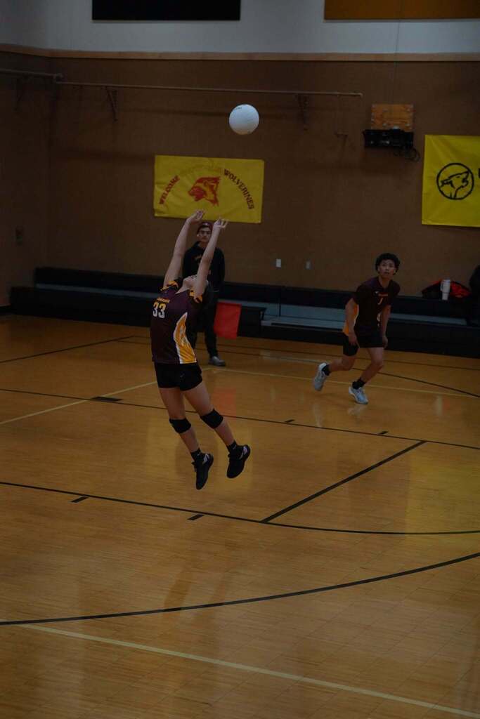 volleyball player
