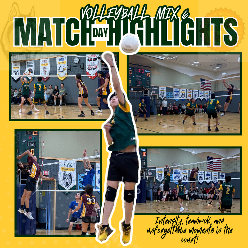VBall MIX 6