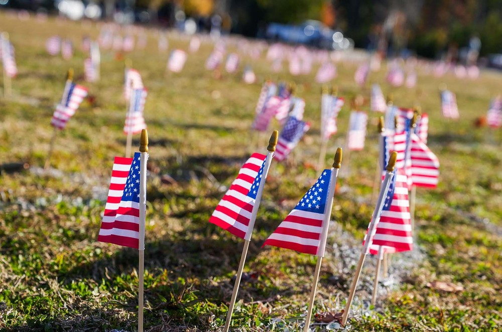 close up of planted flags