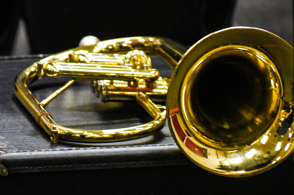trumpet