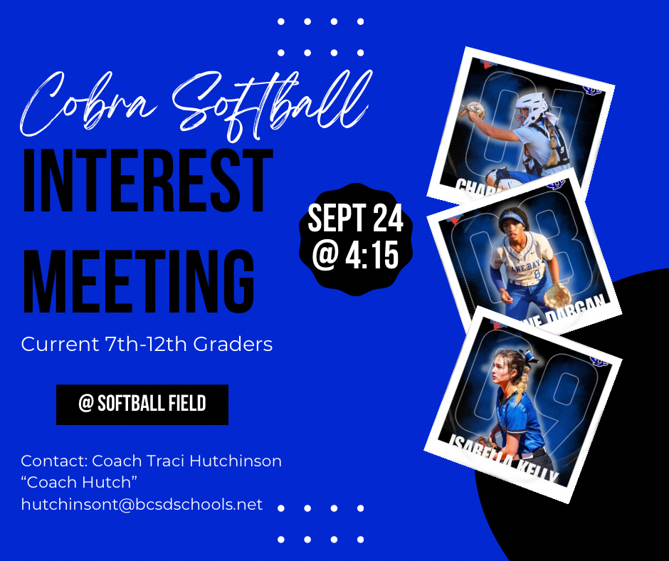 Softball Interest