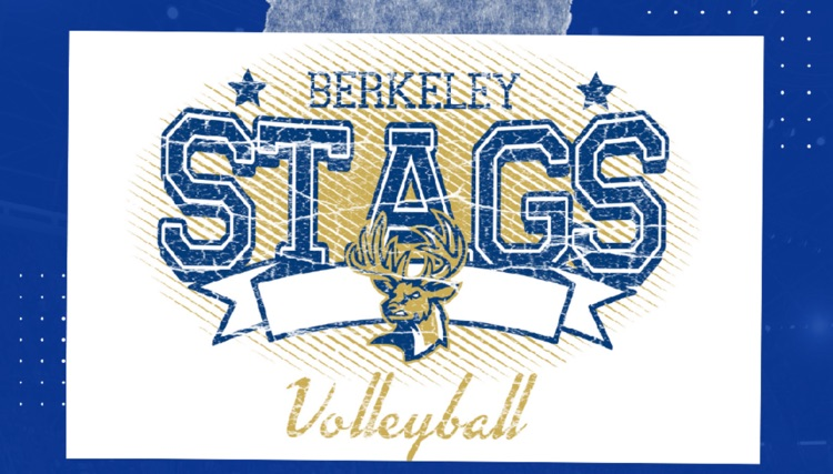 vb logo