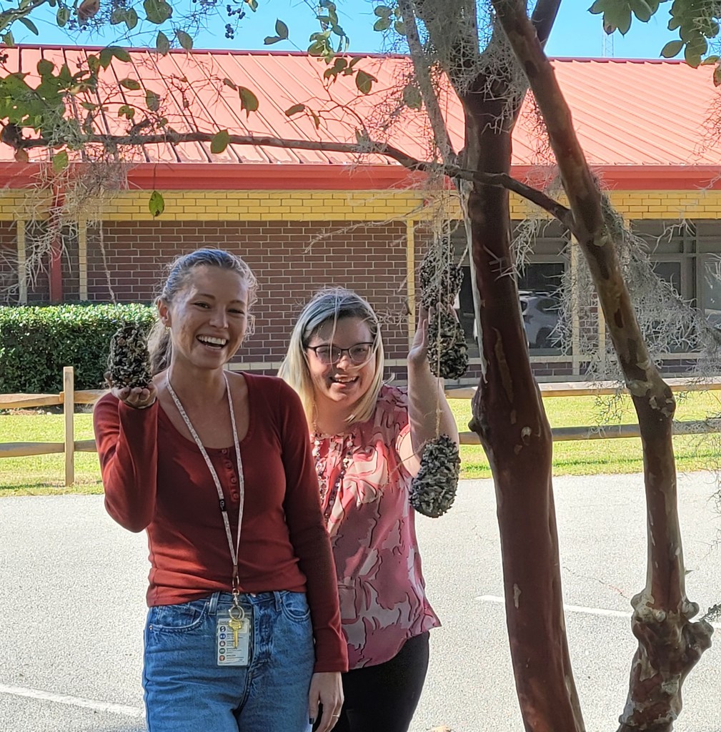 GCE teachers and students are feeding he birds