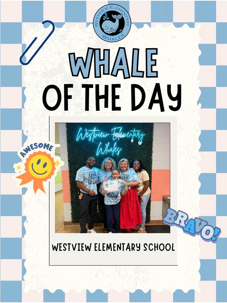 Whale of the Day