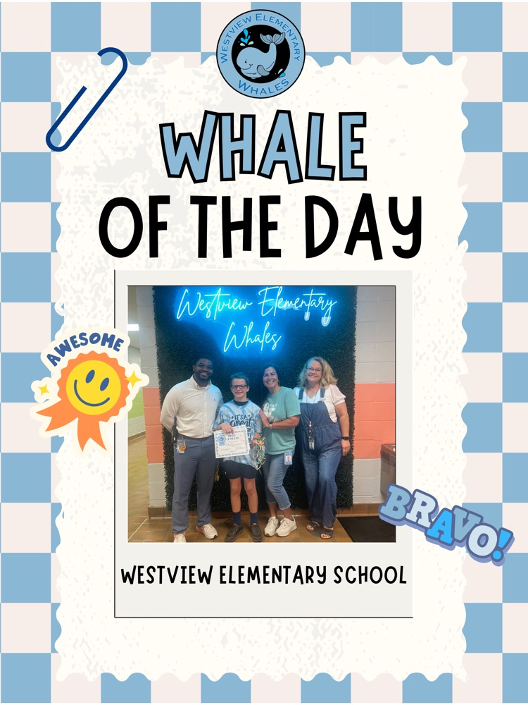 Whale of the Day
