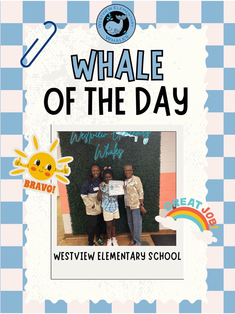 Whale of the Day