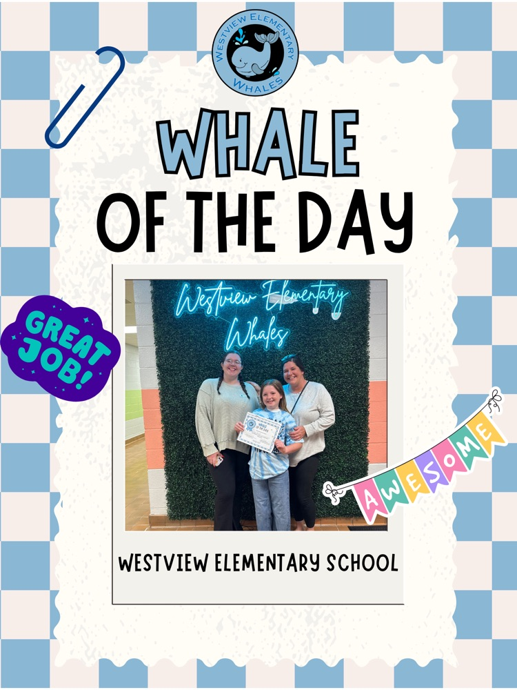 Whale of the Day