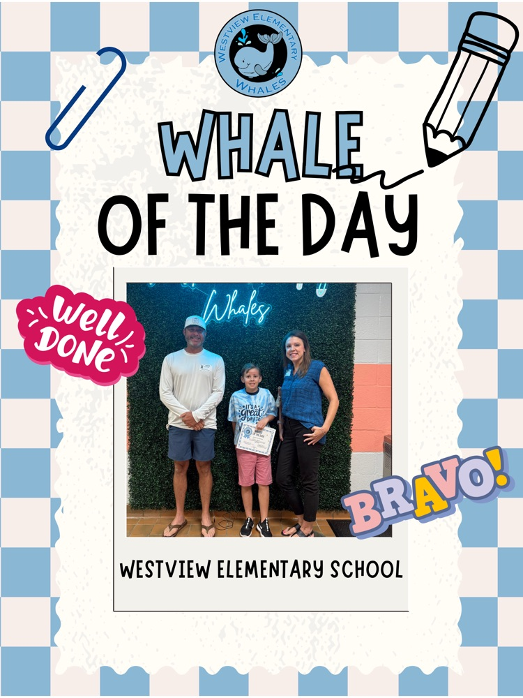 Whale of the Day