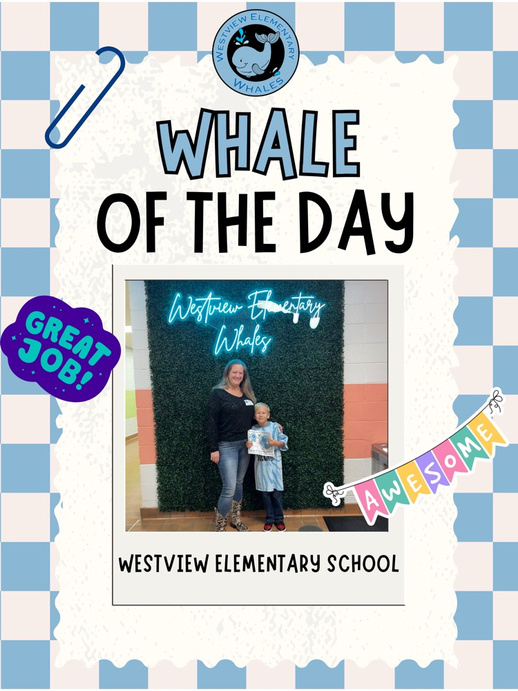 Whale of the Day