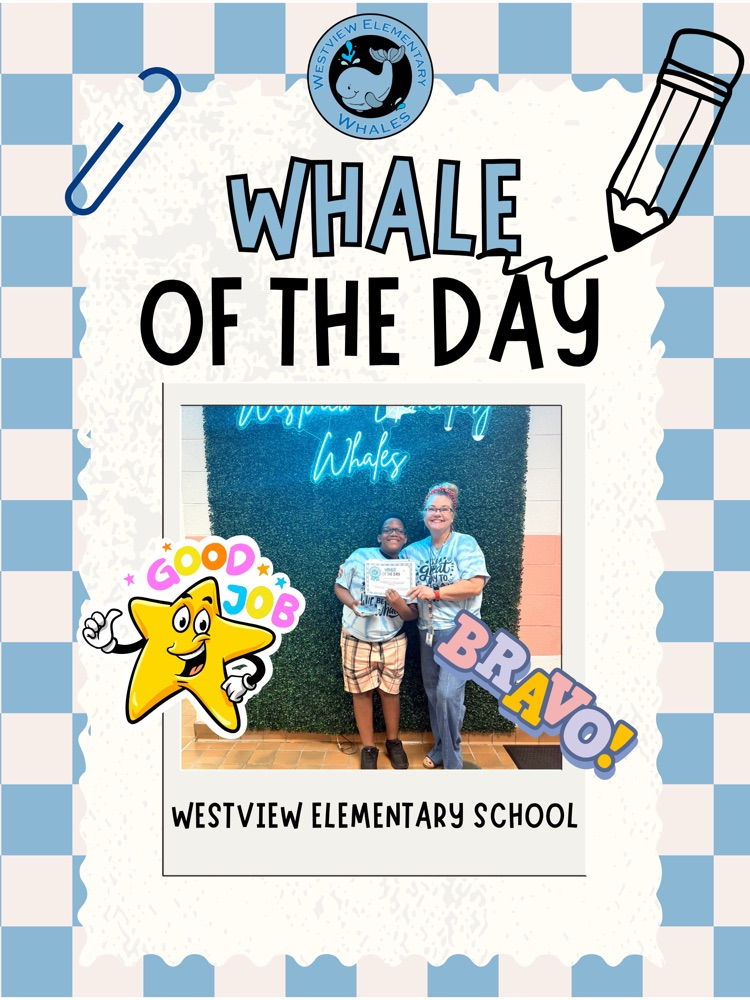 Whale of the Day
